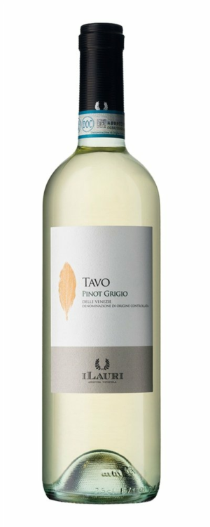 Talamonti Tavo Pinot Grigio 2019 0